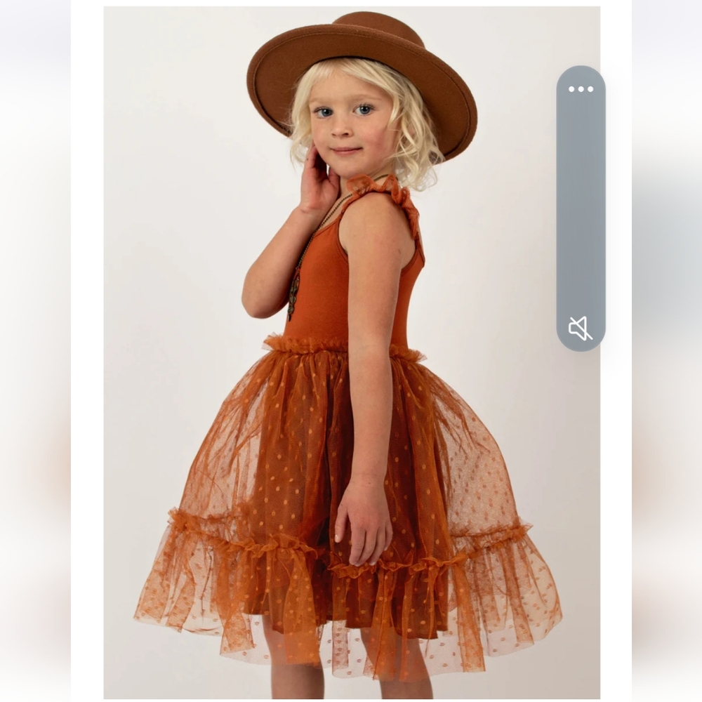 Leigh Dress In Dark Terracotta- Tulle Dress